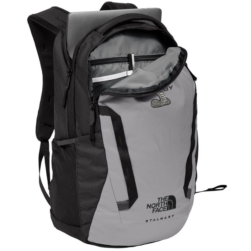 Shelby North Face Back Pack