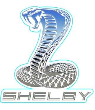 2024 Snake Sticker - Blue/White/Silver