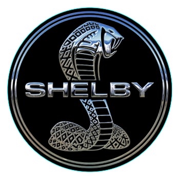 Shelby Tiff Snake Circle Magnet - Silver/Blue/Black