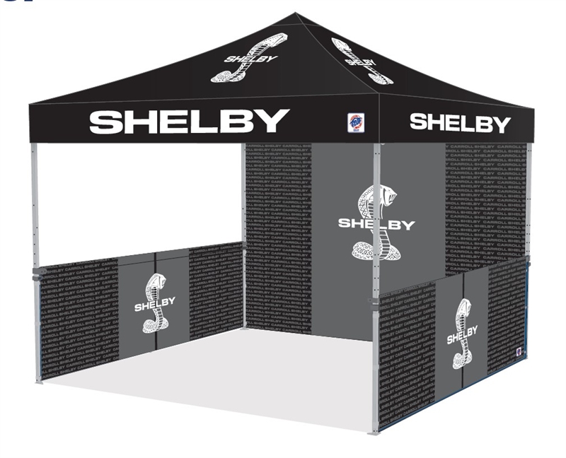 Shelby 10' x 10'  EZ-UP Sidewall & Railskirts (DOES NOT INCLUDE TENT)