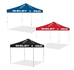 Shelby 10' x 10'  EZ-UP Tent