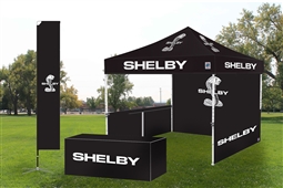 10' x 10' EZ-UP Shelby Snake Tent Bundle Package