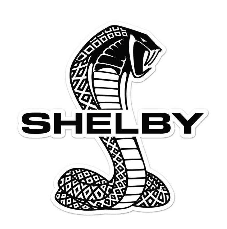 Shelby Tiffany Split  Removable Wall Decal - 23"