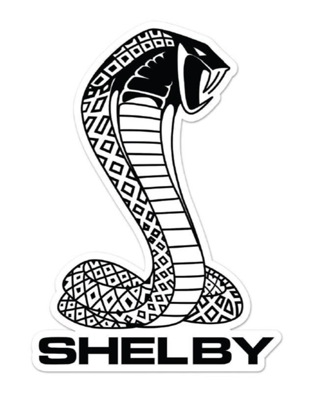 Shelby Tiffany Snake  Removable Wall Decal - 23"