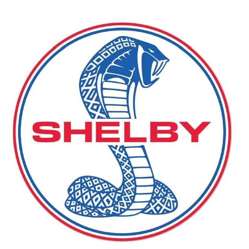 Shelby  Round Tiff Color  Removable Wall Decal - 23.5"