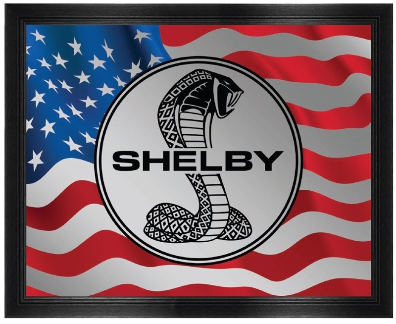 Shelby Americana Ribbed Frame Mirror - 19" x 24"